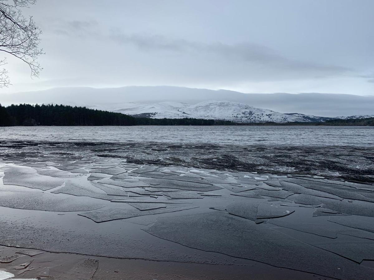 The One - Chalet In The Cairngorms Boat of Garten Esterno foto